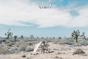 [BD日本演唱会][エメ Aimer – Live Tour DAWN 演唱会 daydream初回限定盘 2016][BDISO][22.2G][百度网盘]