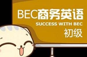 《商务英语BEC(初级)考试教学培训视频资料》[MP4/1.05GB]百度云网盘下载