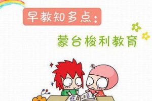 [幼儿教育]《蒙台梭利》[系列(视频+音频+课件教材)合集][AVI/MP4/DOC/PDF/6.39GB]百度云网盘下载