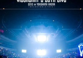 [BD日本演唱会][VisualArt s 20th Live 2012 in YOKOHAMA ARENA][BDMV 双碟][91.9G][百度网盘]