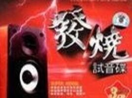 发烧试音碟[500张DTS格式CD]无损歌曲合集[百度云网盘下载][DTS232.97GB]