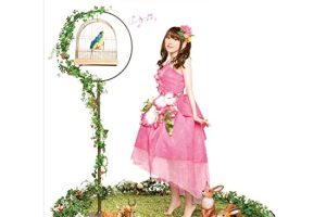 [BD日本演唱会][田村由香里 田村ゆかり Tamura Yukari – Love ♥ Live 2009 Dreamy Maple Crown][BDISO][45.8G][百度网盘]