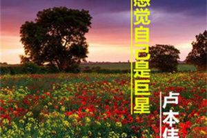 [2018][内地][卢本伟]《感觉自己是巨星》APE分轨_321.7M[百度盘]