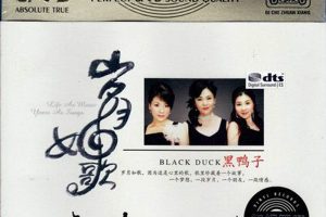 [2018][黑鸭子]《岁月如歌》3CD_DTS-WAV_分轨_562.8M[百度盘]