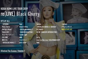 [BD日本演唱会][倖田来未 – Koda Kumi Live Tour 2019 re(LIVE) ~Black Cherry~ 2020][BDISO][38.1G][百度网盘]