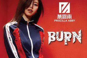 [2017][内地][蔡恩雨]《Burn》WAV分轨_168.4M[百度盘]