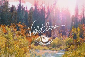 [2017][内地][Violet Lens 绀]《天堂鸟与金鱼草》FLAC_分轨_203.7M[百度盘]