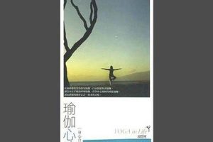 [2007][内地][群星]《瑜伽心境界》4CD_APE+CUE_318.5M[百度盘]