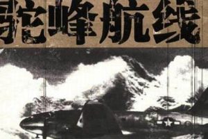 聂梅播讲《驼峰航线》有声历史书完结版音频合集[MP3]百度云网盘下载