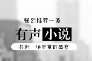 世界听一听-《隐婚》有声小说全14回音频合集[MP3]百度云网盘下载