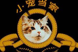 CCTV纪录片《小宠当家》五部合集高清中字[TS/8.11GB]百度云网盘下载