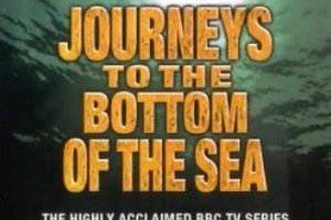 BBC纪录片《海底世界揭秘》高清英语外挂中字[AVI/3.41GB]百度云网盘下载