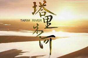 央视纪录片《塔里木河/Tarim River》全6集视频合集国语中字[TS/10.40GB]百度云网盘下载