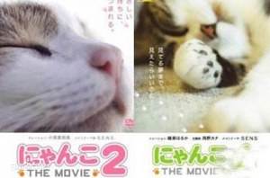 日本纪录片《猫咪物语》全5部日语外挂中字视频合集[MP4/4.09GB]百度云网盘下载