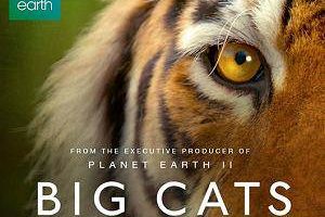 BBC纪录片《大猫/Big Cats》三部合集高清英语中字[MP4/3.28GB]百度云网盘下载