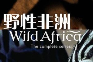 纪录片《野性非洲》全6集(BBC出品)高清1080P/英语中字/视频合集【百度云网盘下载】