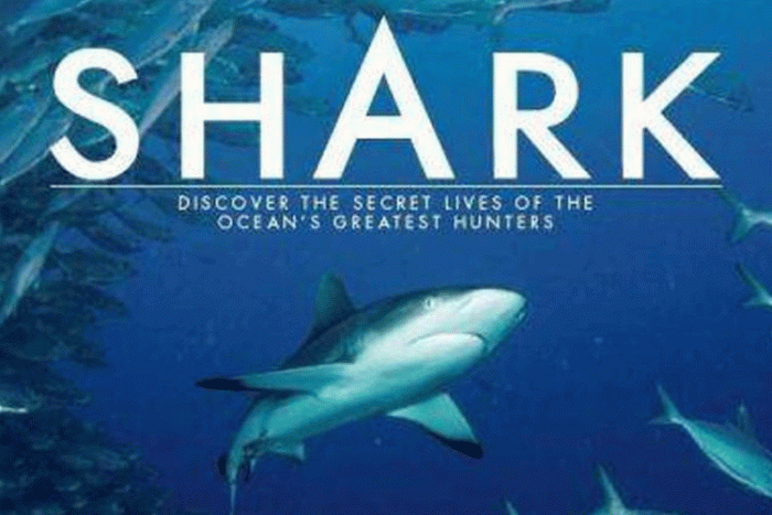 纪录片《鲨鱼》BBC出品(高清3集)英音中字视频合集【百度云网盘下载】
