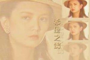 [电视剧][台湾][1990][剧情][希望之鸽][14.01G][百度网盘]
