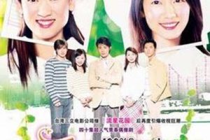 [电视剧][台湾][2003][剧情][千金百分百][14.25G][百度网盘]