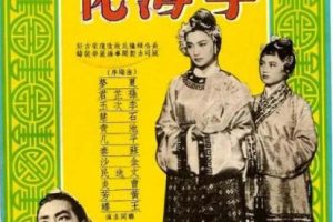 [电视剧][香港][1953][剧情][孽海花][28.18G][百度网盘]