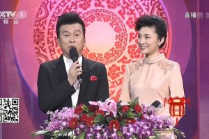 [2015][内地][CCTV2015中国谜语大会第一季][3期全][HD_10G][百度盘]