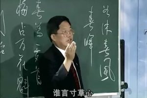 [2001][中国][百家讲坛之风雅百代存][19集全][国语中字][RMVB_每集150M_共2.74G][周汝昌_李敬一][百度盘]