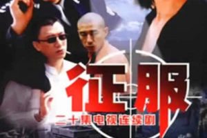 [剧情] [2003][大陆][征服][20集全][国语中字][HD-MP4共约 16.3G][720p][百度盘]