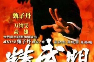 [1995][香港]《精武门》[甄子丹版][30集全][国语无字][HD-MP4每集约 1.2-1.4 GB][720p][百度网盘]