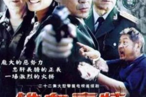 [2003][警匪绝版][铁血豪情+血染金三角][全22集][百度网盘]