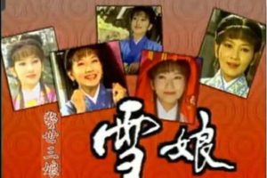 [电视剧] [1995][剧情][雪娘][4.13G][百度网盘]