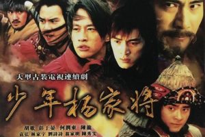 国产剧《少年杨家将(2007)》全43集(胡歌主演)高清/国语中字/视频合集【百度云/阿里云网盘下载】