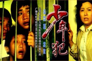 [1985][中国大陆]《少年犯》[5.31GB][百度网盘]