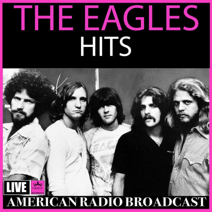 [DVD欧美演唱会][Eagles 老鹰乐队 1976 Live In Houston [Bootleg DVD] VHS转录][双版本][3.42G+4.16G][百度网盘]