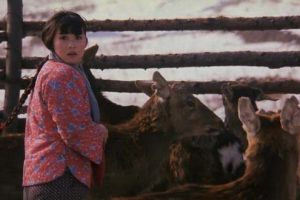 [1995][中国大陆]《如血黄昏》[1.84GB][ 百度网盘]