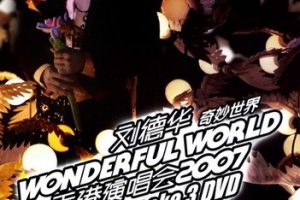 [DVD香港演唱会][刘德华_奇妙世界Wonderful World2007香港演唱会][DVD][5.54G][百度网盘]