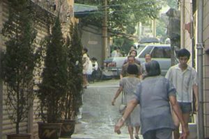 [1991][中国大陆]《情归鹭岛》[1.90GB][ 百度网盘]