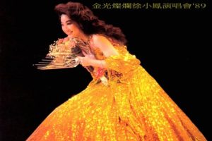 [DVD香港演唱会][徐小凤 金光灿烂徐小凤演唱会’1989 Karaoke][DVD ISO][4.78G][百度网盘]