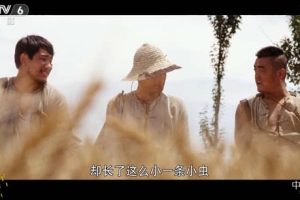 [2018][中国大陆]《盲侠》[国语中字][4.77GB][ 百度网盘]