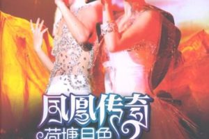 [DVD大陆演唱会][凤凰传奇 – 荷塘月色2010北京演唱会][2DVD-ISO][11.94][百度网盘]