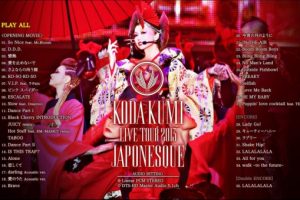 [DVD日本演唱会][幸田来未 Koda Kumi Dream music park 2010横滨球场限定演唱会][DVD ISO双碟 14.42G][百度网盘]