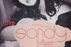 [DVD音乐专辑碟][林忆莲 – SANDY Bonus][DVD ISO][2.45G][百度网盘]