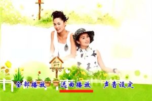 [DVD音乐专辑碟][群星 一人一首港台女声精选 碟2 D9 KTV][DVD ISO][7.07G][百度网盘]