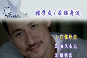 [DVD音乐专辑碟][张学友 – 在你身边][DVDISO][627M][百度网盘]
