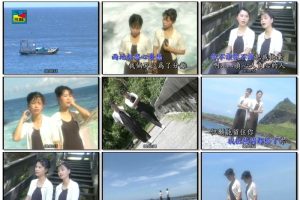 [DVD音乐专辑碟][樱花姐妹(詹雅雯 詹雅云) – 国语老歌(三)][KTV][DVD-ISO][2.95G][百度网盘]