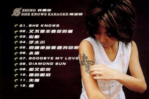 [DVD音乐专辑碟][林晓培 – She Knows Karaoke 精选辑][DVD-ISO][3.96G][百度网盘]