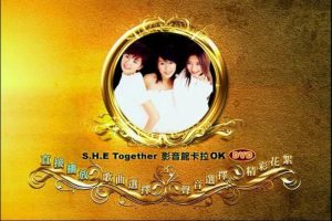 [DVD音乐专辑碟][S.H.E – Together 影音馆 卡拉OK][DVD-ISO][3.39G][百度网盘]