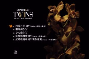 [DVD音乐专辑碟][Twins – 我们相爱六年MV][DVD-ISO][1.28G][百度网盘]