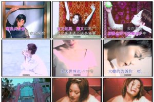 [DVD音乐专辑碟][王菲 – 情菲得意][KTV][DVD-ISO][3.92G][百度网盘]