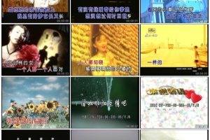 [DVD音乐专辑碟][群星 – 中国星MTV金碟2][LD转DVD] [ISO][4.10G+4.21G][百度网盘]