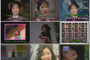 [DVD音乐专辑碟][邓丽君 – 优必胜精选][KTV][2DVD-ISO][2.84G+3.08G][百度网盘]